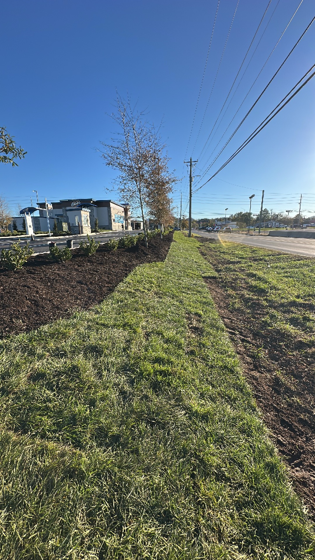 Landscape design Knoxville TN